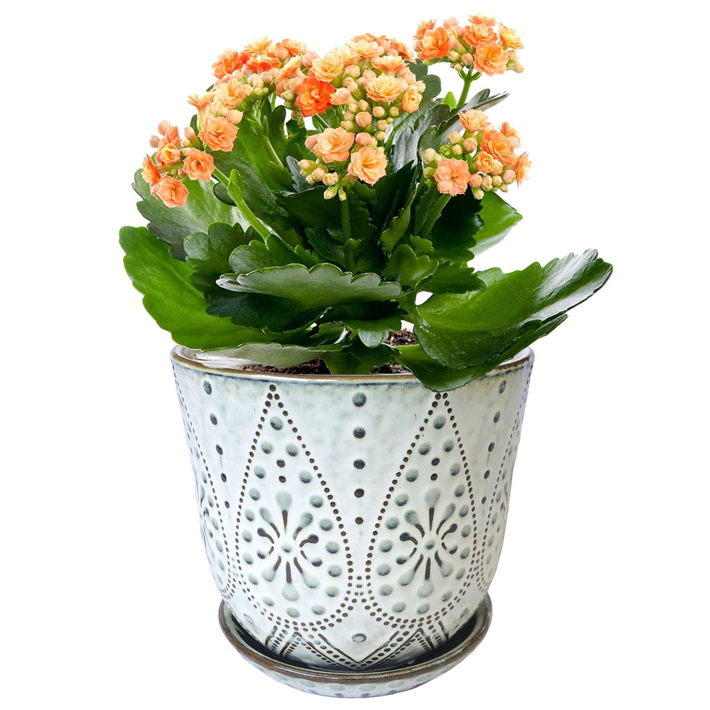 Gepege 6 Inch Beaded Ceramic Planter Set of 2 with Drainage Hole and Saucer for Plants, Indoor-Outdoor Large Round Succulent Orchid Flower Pot (Smoked Gray, Inner-pots not Larger Than 5 Inch)
