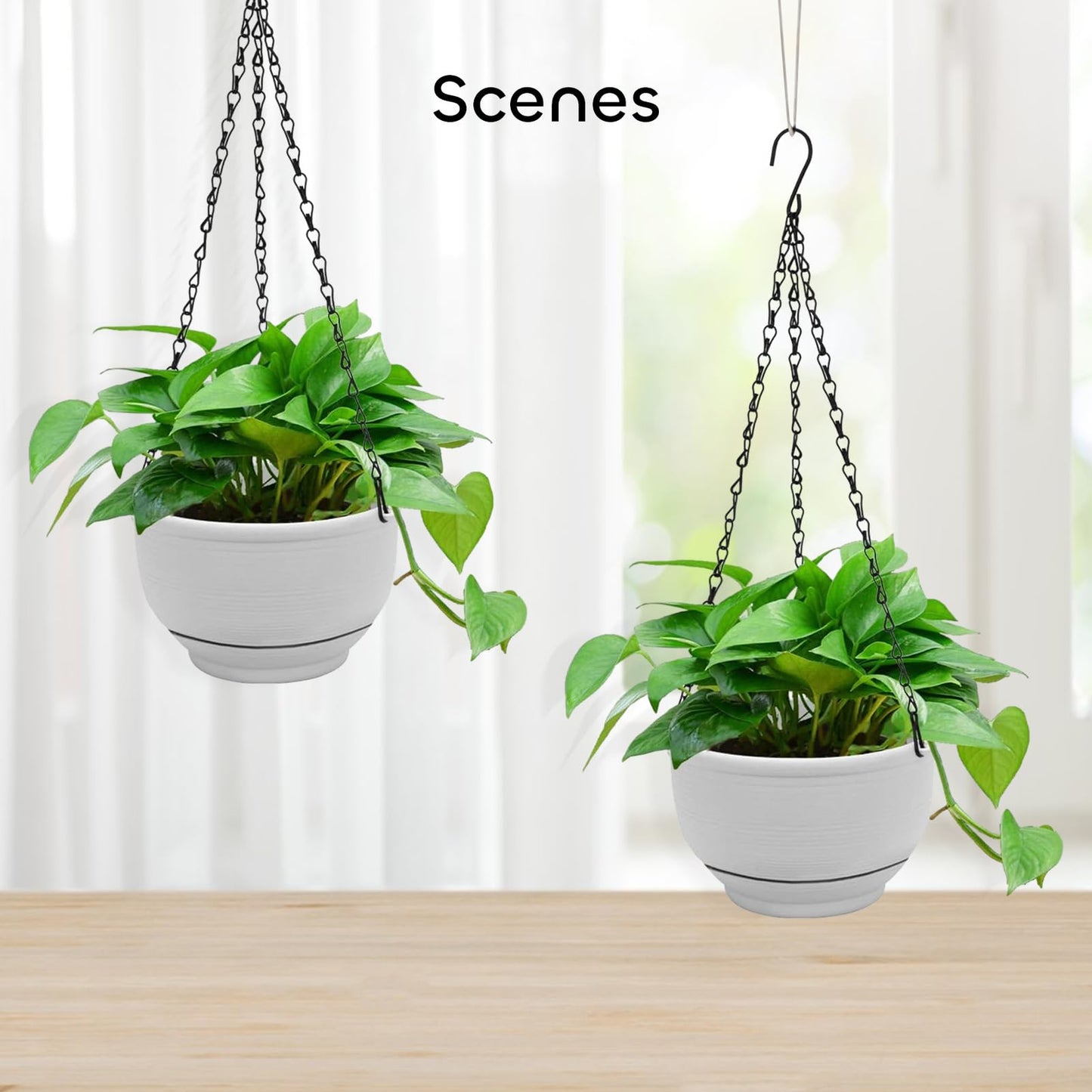 GROWNEER Plastic Hanging Planter 2 Packs 8 Inch Self Watering Pots Plants Hanger Baskets with 6 Pcs Hooks, Flower Pot with Detachable Base for Garden Indoor Outdoor (Grey)