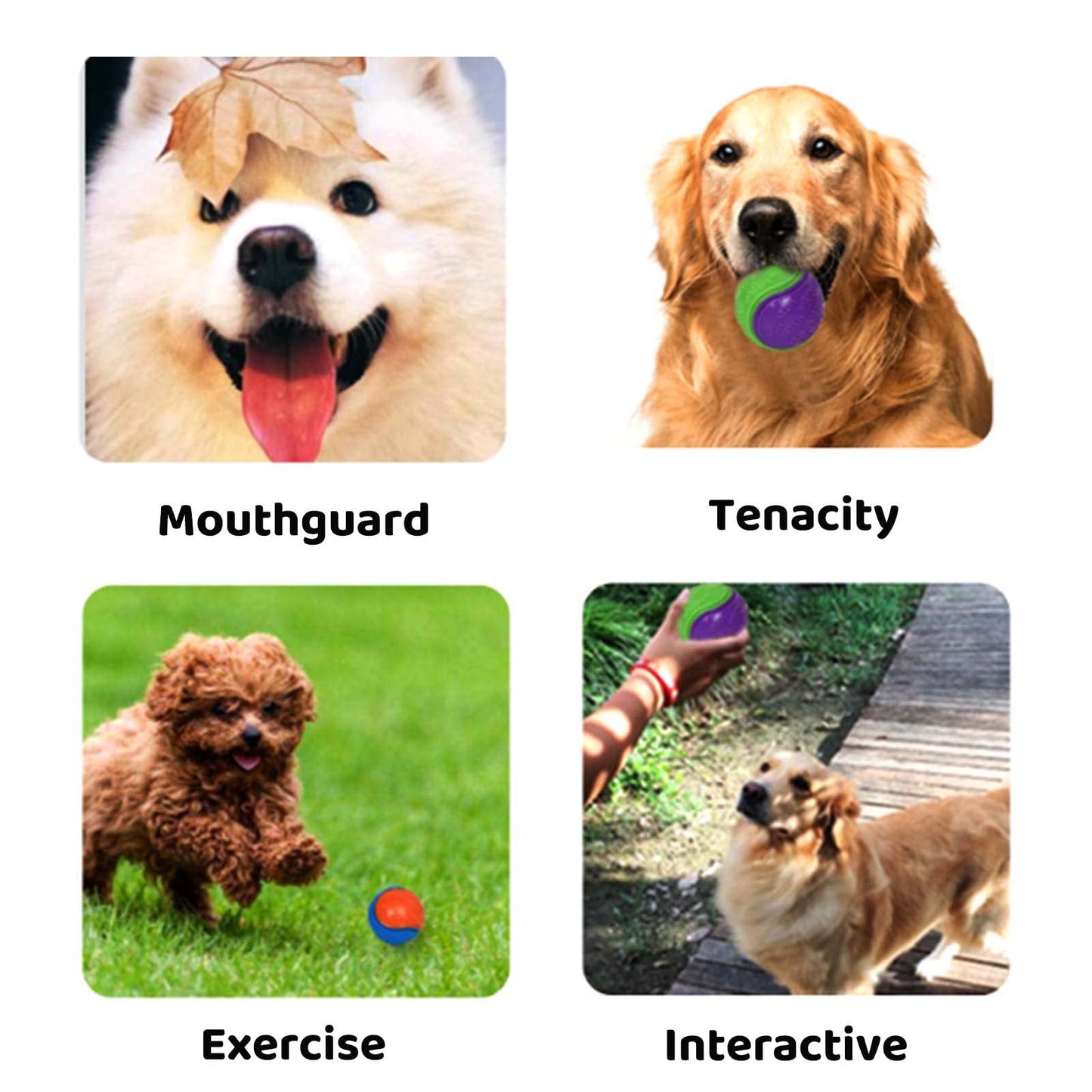 6Pcs Squeaky Dog Ball, Dog Toys Teeth Cleaning Puppy Chew Toys Pet Training Ball Dogs Interactive Dogs Balls