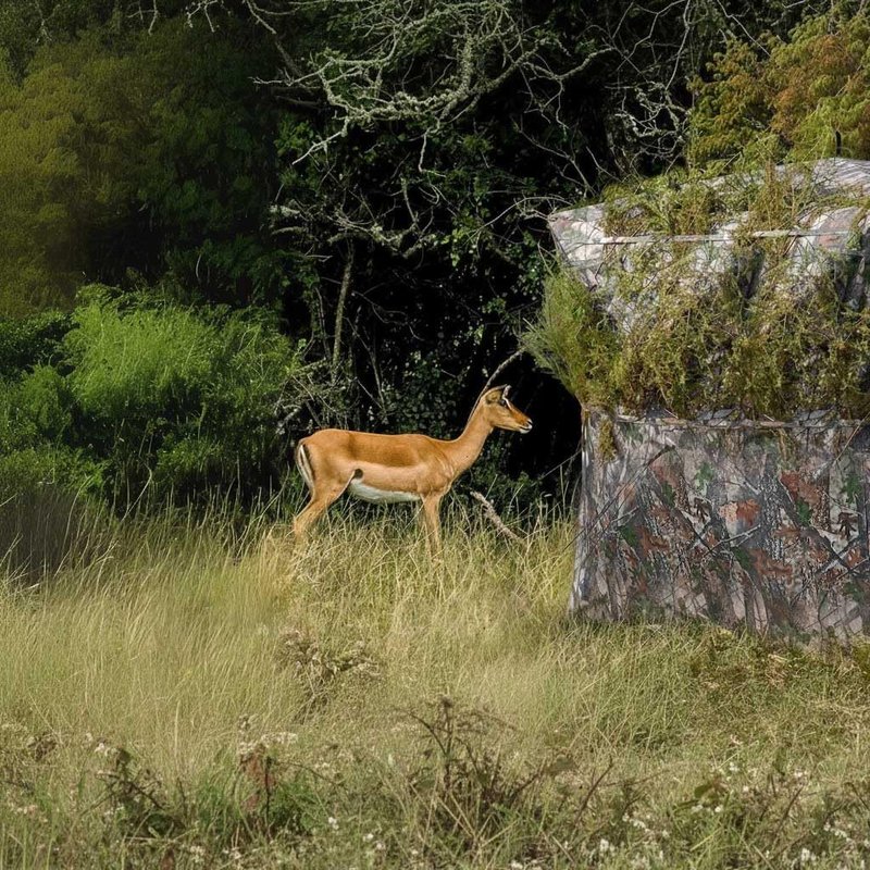Hunting Blind 360 See Through Ground Blind for Turkey & Deer Hunting, 2-3 Person Pop Up Camouflage Tent