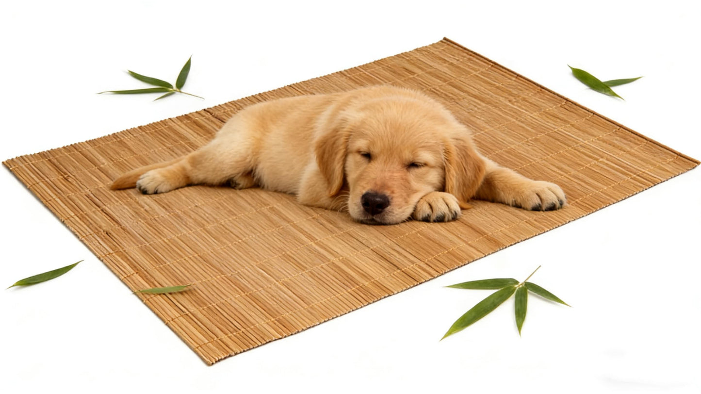 Metany Dining Table Placemat, Heat-Resistant Place Mat Stain Resistant Anti-Skid Washable Bamboo Table Mat Placemat Kitchen Table mat