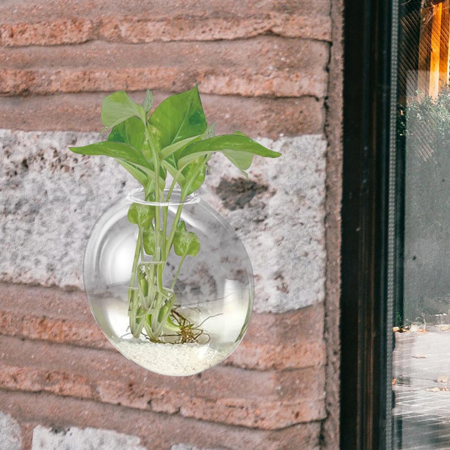 HOOWIFFY Wall Hanging Glass Vase Hydroponic Planter Terrarium Glass Pot for Indoor Plants Balcony Decor Home Gardening