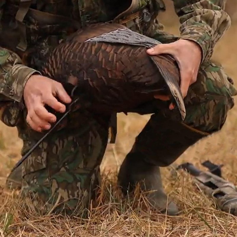 Ultra Realistic Turkey Decoy - Lightweight Plastic Thunder Chicken for Outdoor Hunting | Lifelike Feeding Hen