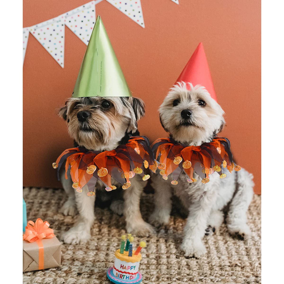 Cat Witch Halloween Costume Suit, Hmxpls Small Dogs & Cats Tutu Collar and Witch Pumpkin Hat Cute Costume Suit Kitten Outfit Clothing for Birthday Party Thanksgiving Christmas Holiday