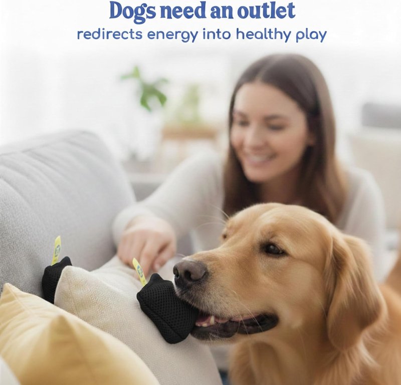 Original Dog Scent Training Kit - Nosework Agility Equipment for Mental Stimulation | Brain Games for Dogs