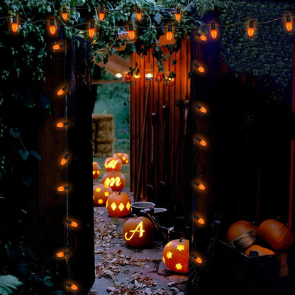 SUNSGNE C7 LED Orange String Lights Outdoor, 25FT Halloween String Lights with 27 LED Orange Lights(2 Spare) for Patio Garden Roofline Backyard Halloween Decorations, Black Wire