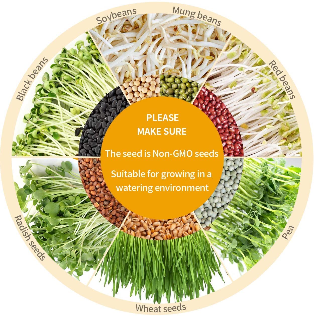 Bean Sprouts Machine, Seed Sprouter Kits, LED Display Time, Intelligent Automatic Bean Sprouts Maker, 3 Layers Function Large Capacity Seed Grow, Also for Radish, Alfalfa, Wheatgrass, Broccoli Sprouts