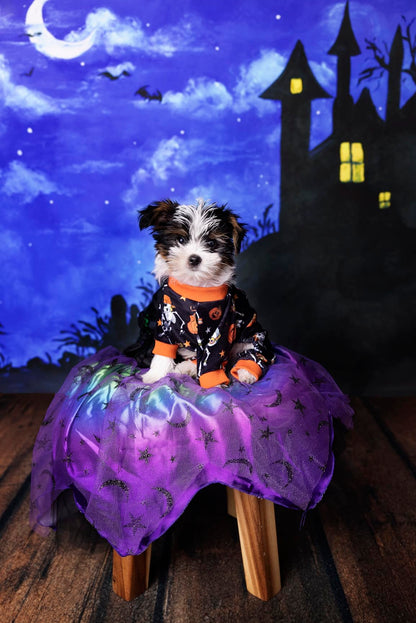 Fitwarm Halloween Skeleton Dog Costume Lightweight Velvet Pajamas Pet Clothes Doggie PJS Puppy Onesie Doggy Outfits Cat Jumpsuits Black Large