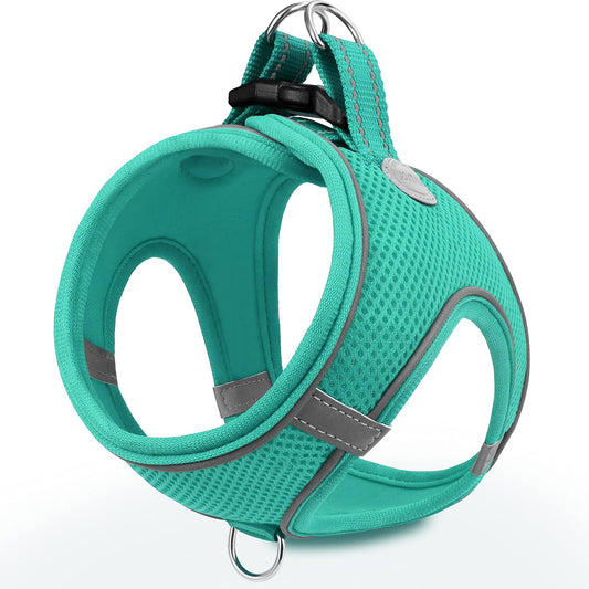 Joytale Small Dog Harness, Breathable Mesh Step-in Vest, Reflective Soft Padded Harnesses for Small and Medium Dogs, Teal, M