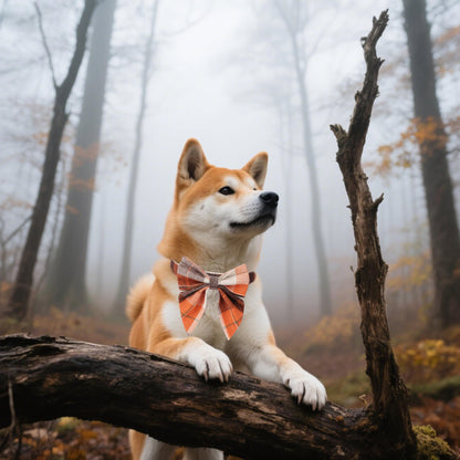 ADOGGYGO Fall Plaid Dog Collar with Bow, Adjustable Orange Plaid Thanksgiving Halloween Fall Collars for Small Medium Large Dogs Pets (Medium)