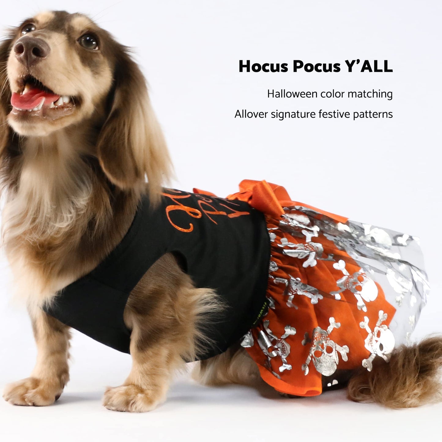 Fitwarm Hocus Pocus Y'all Funny Dog Halloween Tulle Dress, Holiday Dog Clothes for Small Dogs Girl, Funny Pirate Skull Pet Costume, Witch Cat Outfit, Orange, Black, Small