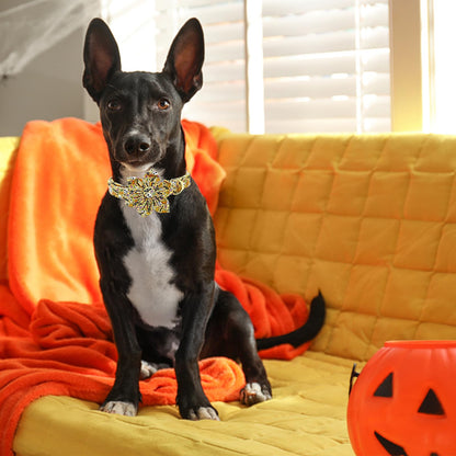 Lionheart Glory Halloween Dog Collars Skull Collar with Adjustable Flower Pattern for Small Dogs Puppy