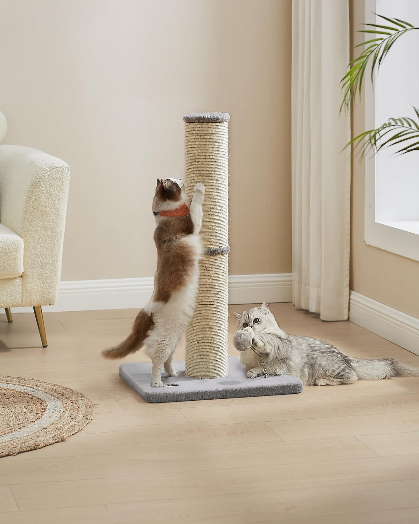 Feandrea Cat Scratching Post, 85 cm Tall Cat Scratcher for Medium and Large Cats, Furniture Scratching Deterrent Sisal Scratch Pole, Spring Pompom with Built-in Bell, Dove Grey PCA041G01