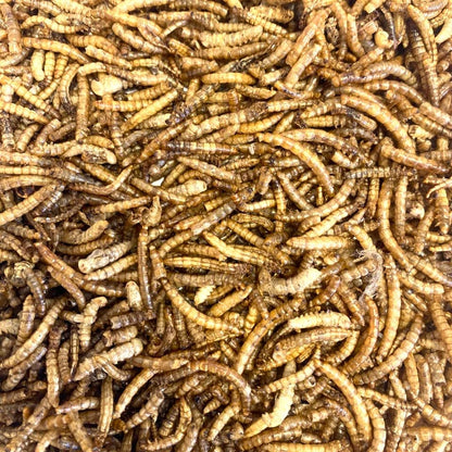 Dried Mealworms 5kg Premium Insectivorous Wild Bird Food By Maltbys' Stores 1904 Limited