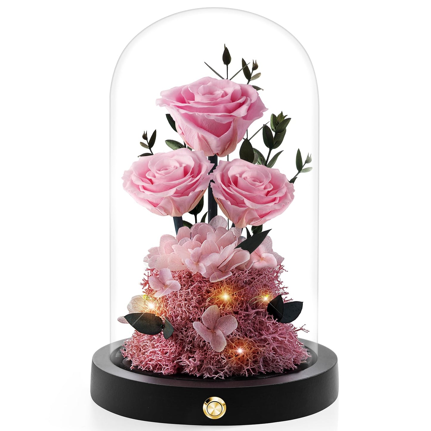 Valentines Day Flowers Roses Gifts for Her,Forever Real Preserved Roses in Glass Dome,Valentines Day Anniversary Birthday Gifts for Wife Girlfriend Women Mom Best Friend Her/Purple Rose