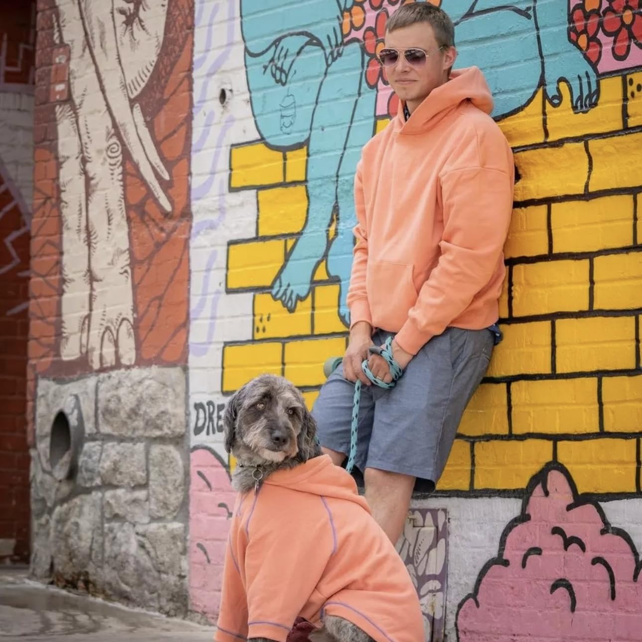 Blueberry Pet Essentials Dog Hoodie – 22 inch, Cotton‑Blend Sweatshirt with Hood, Coral, Machine‑Washable Small‑Dog Jersey