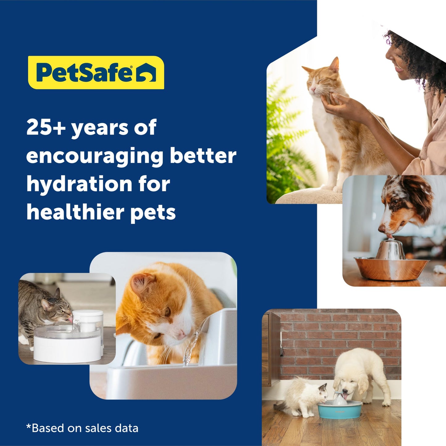 PetSafe Drinkwell 2 Gallon Pet Fountain, Grey