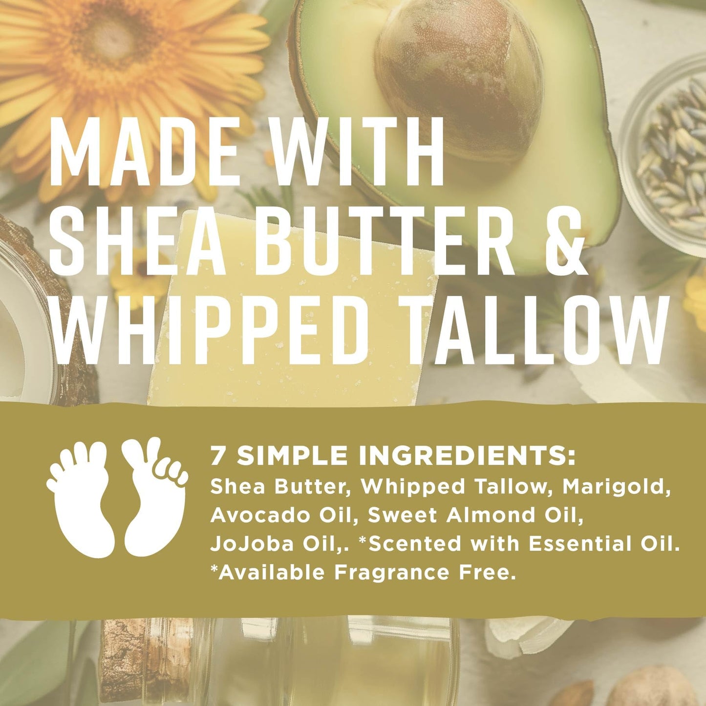 Pilotfish After Sun Body Butter Moisturizing Cream - Shea Butter & Whipped Tallow, Simple Ingredients, After Sun Lotion, Body Lotion, Cucumber, After Sun Care, After Sun Skin Care, 3.8oz