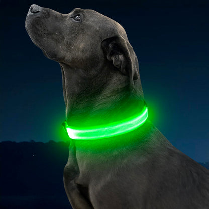 Illumifun Light Up Dog Collar, USB Rechargeable LED Dog Collar Glow in the Dark, Adjustable Pet Collar Safety Dog Lights for Night Walking (Green, Medium)