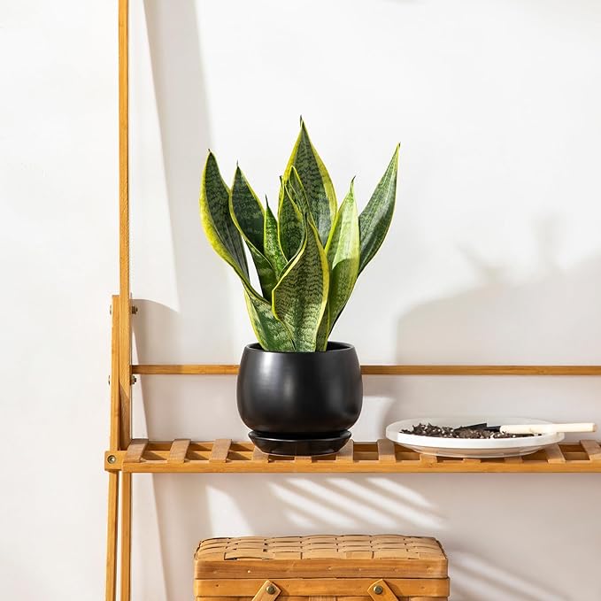 vancasso 3-Pack Ceramic Plant Pots, 3.7/4.8/6.2 Inch Indoor Planters with Saucers & Drainage Hole Planter pots for Indoor Plants and Flower, Black