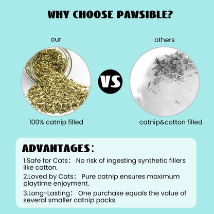 5 Pack Cactus Catnip Toys, 100% Pure Organic Catnip Filled Toys for Indoor Cats, Interactive Plush Chew Fun Without Cotton, Teething Soft Pet Toys for Kittens Kitty