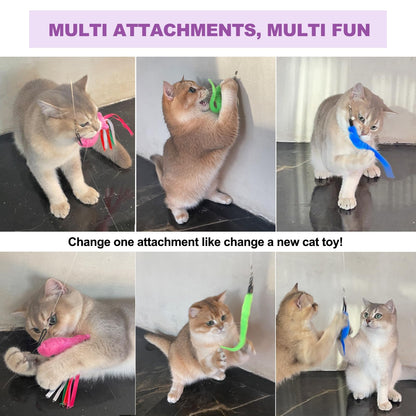 11PCS Cat Wand Toy, Cat Interactive Toys for Indoor Cats, 2 Retractable Cat Wand, 7 Worm Cat Teaser Toys and 1 Plush Fish Cat Toy, Cat Feather Toys for Play Chase Exercise with Kitten, Extra 1 Line