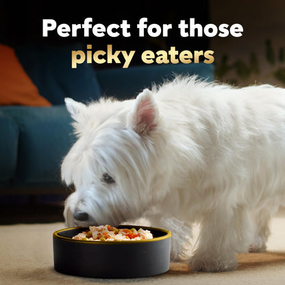 Cesar Simply Crafted Adult Wet Dog Food Meal Topper, Chicken, Carrots, Potatoes & Peas and Beef, Chicken, Purple Potatoes, Green Beans & Red Rice Variety Pack, 1.3oz. (8 Count, Pack of 2)