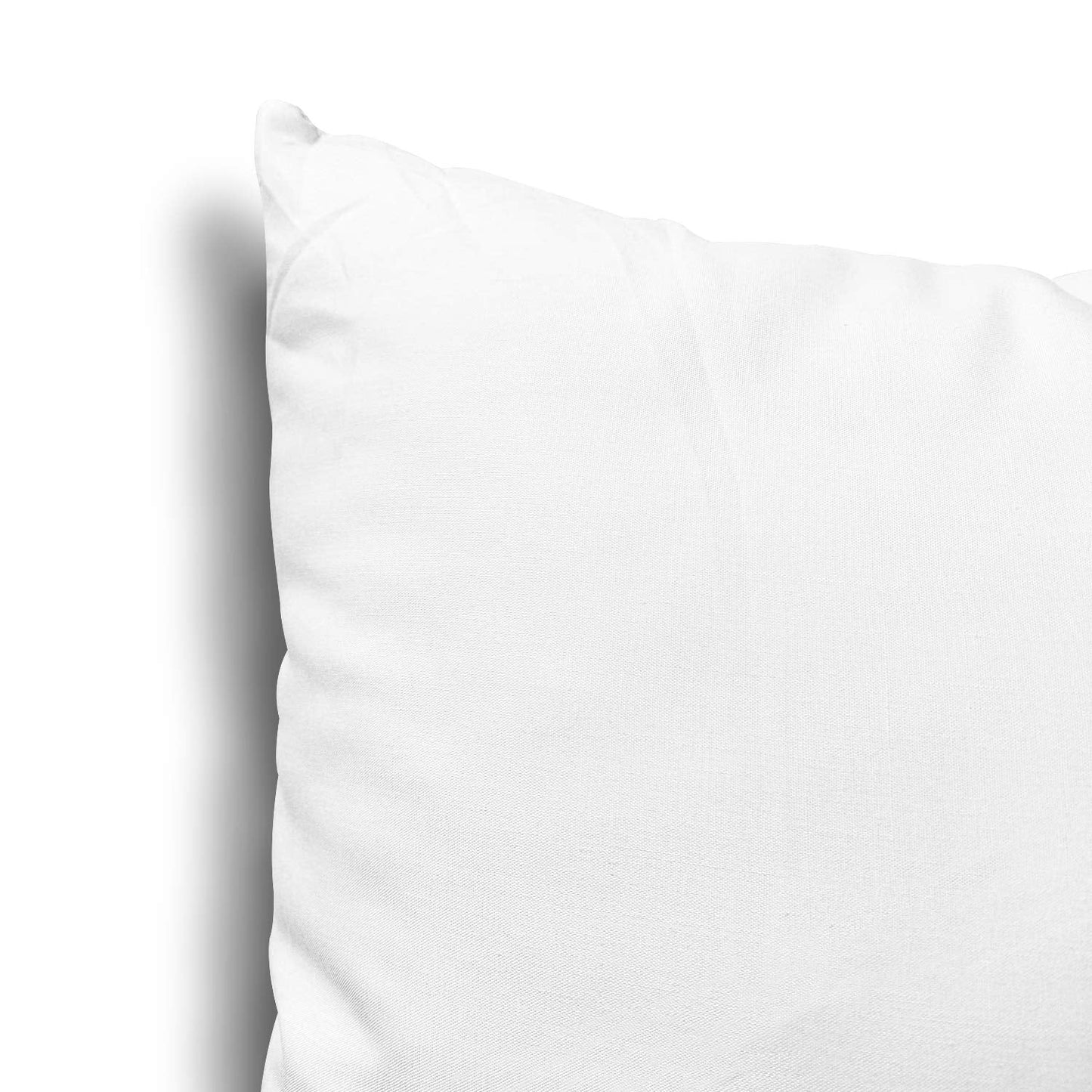 EDOW Throw Pillow Inserts, Set of 2 Lightweight Down Alternative Polyester Pillow, Couch Cushion, Sham Stuffer, Machine Washable. (White, 18x18)
