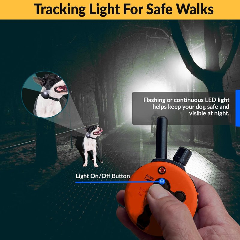 Educator E-Collar Dog Training Collar with Remote | 100 Levels, Waterproof, Rechargeable, Night Light - For Medium/Large Dogs, Orange