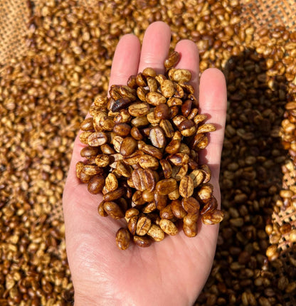 Black Tucano Specialty Coffee - Brazilian Ground Medium Roast - Honey Coffee Ground - 8.8 Ounces 250 Gr