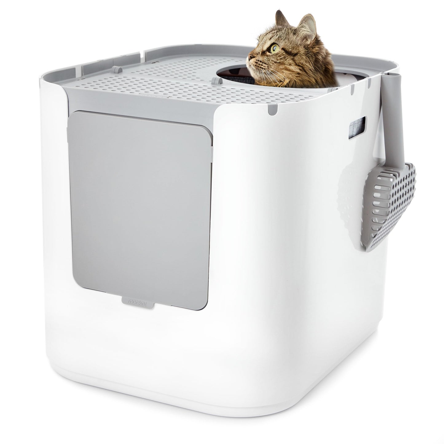 Modkat® XL Litter Box, Top or Front-Entry Configurable, Full Height Seamless Base, Reusable Litter Liners, Sifting Litter Scoop, 2X Bamboo Charcoal Filters - Gray