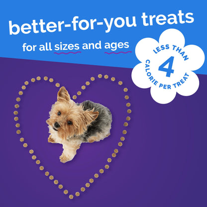 Fruitables Skinny Mini Dog Treats, Healthy Pumpkin Treat for Dogs, Low Calorie & Delicious, Puppy Training, No Wheat, Corn or Soy, Made in the USA, Pumpkin and Berry Flavor, 5oz