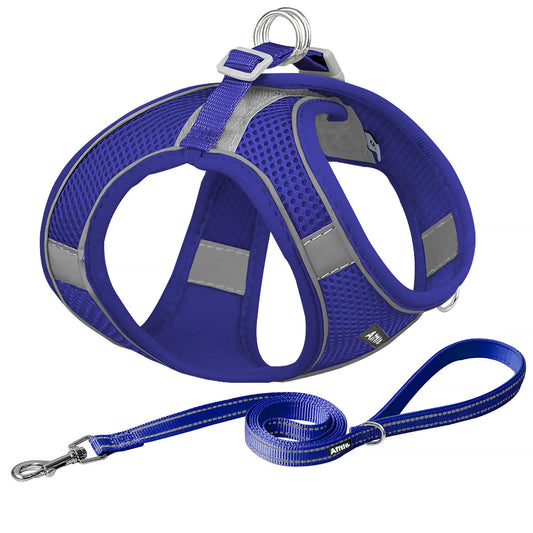 AIITLE Step in Dog Harness and Leash Set - Summer No Pull Escape Proof Vest Harnesses with Soft Mesh and Reflective Bands, Adjustable Pet Outdoor Harnesses for Small and Medium Dogs Royal Blue M