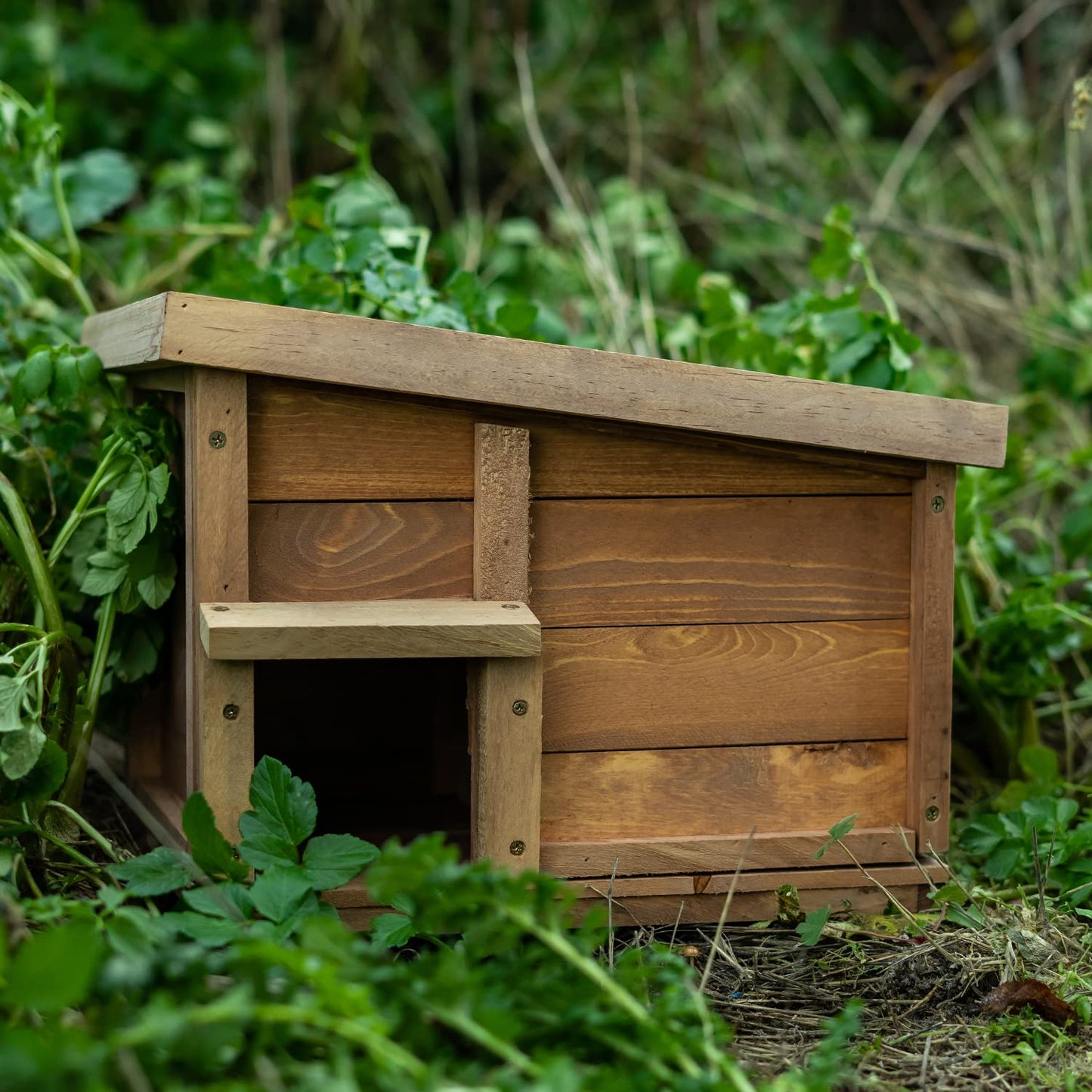 Woodside Hedgehog House & Hibernation Shelter, Safe & Secure Predator Proof Outdoor Habitat/Feeding Station