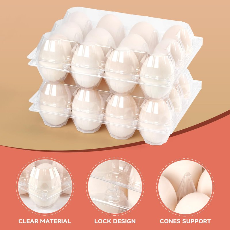 YIFIHGE 60 Pack Egg Cartons Cheap Bulk 1 Dozen Jumbo Egg Cartons Extra Large Duck Egg Holders with Sticker Labels Clear Empty Plastic Egg Containers for Home Ranch Farm Commercial Market Display