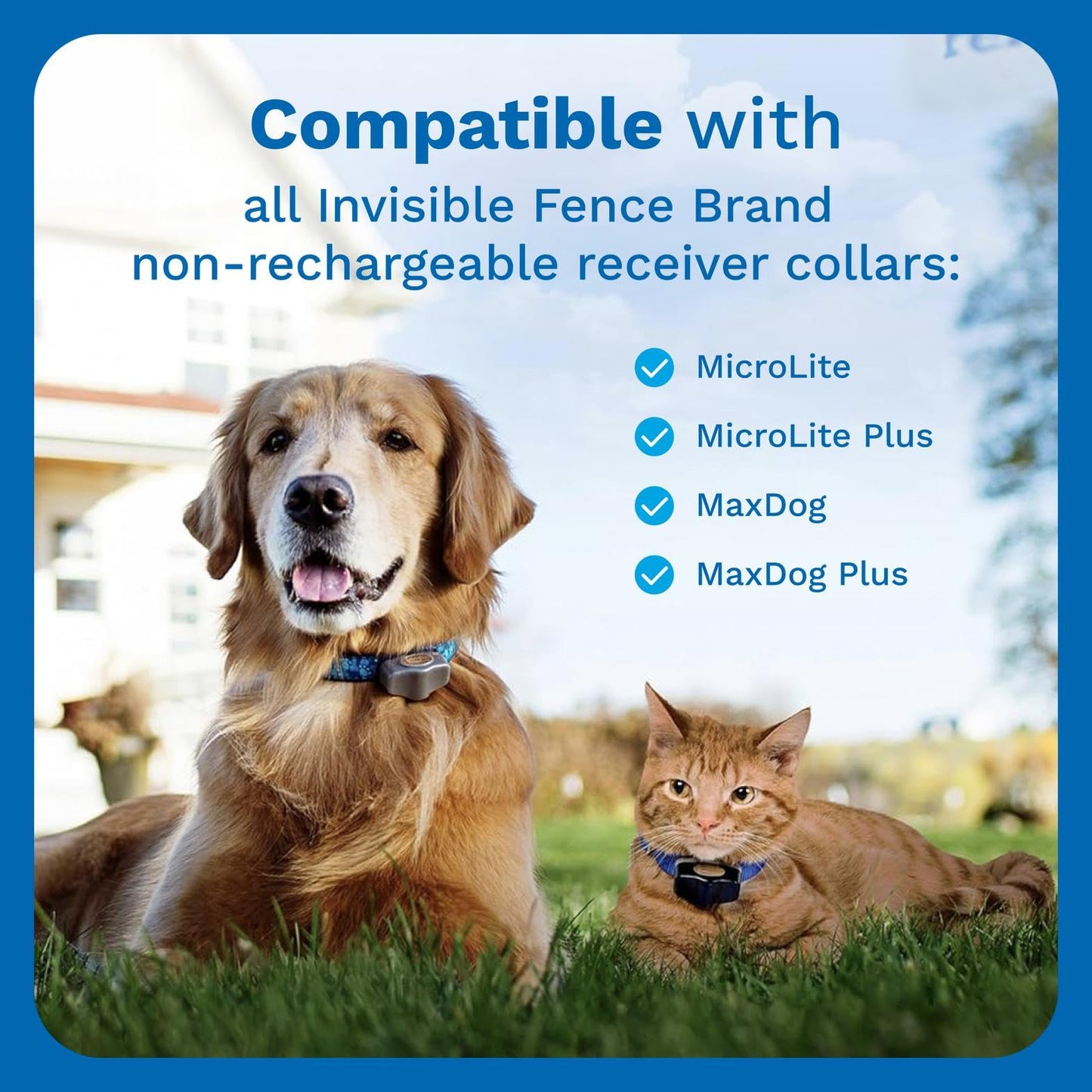 Invisible Fence Power Cap Battery; Battery for (2-Pack) Electric Collar Batteries for Dog Collars Original Brand Product, Dog Collar