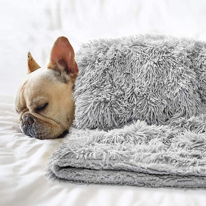 CHMMY Fluffy Dog Blanket, Soft Cat Blanket, Fleece Blanket, Washable Dog Blankets for Sofas, Soft Warm Mat for Pets, Dogs, Cats, Puppies 75 x 100 cm