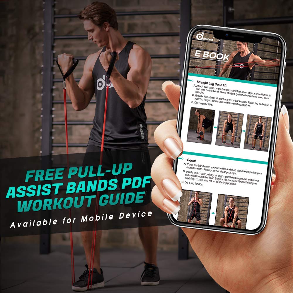 Odoland Pull Up Assist Bands, Pull Up Straps, Resistance Bands with Door Anchor and Handles, Stretch Mobility, Powerlifting and Extra Durable Exercise Bands with eGuide for Men and Lady C