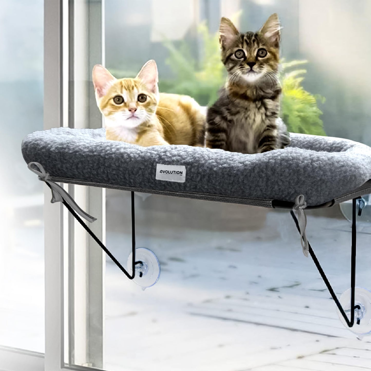 EvolutionUSA Cat Window Perch, Durable Feline Bed, Comfy Perch for 360 Views, Durable Elevated Pet Lounger, Ideal Cat Window Hammock for Large Cats, Heavy Duty, Large Size 24.4x12.6 in