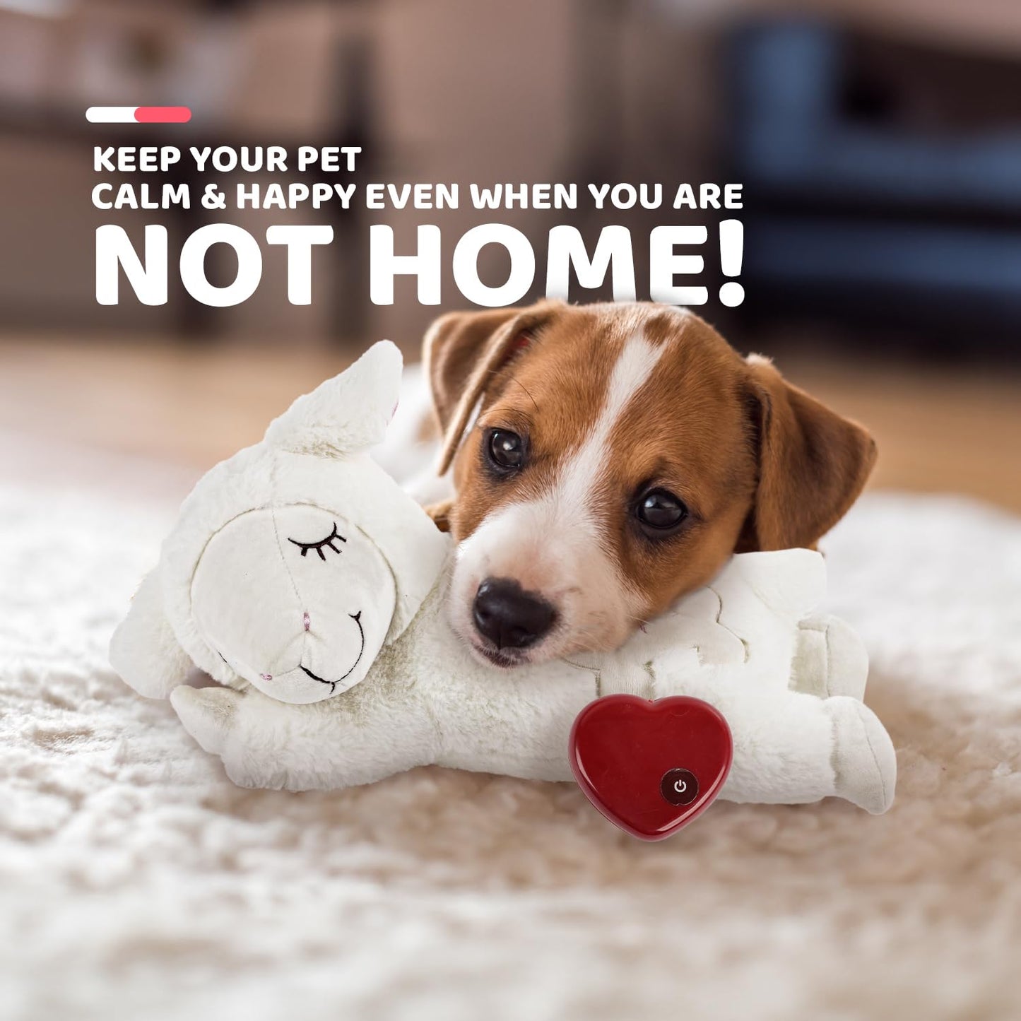 ALL FOR PAWS Little Buddy Heart Beat Sheep, Puppy Toy with Heartbeat Dog Training Toy for Separation Anxiety Relief Behavioral aid for Pets (Beige), (Pack of 1), packaging may vary
