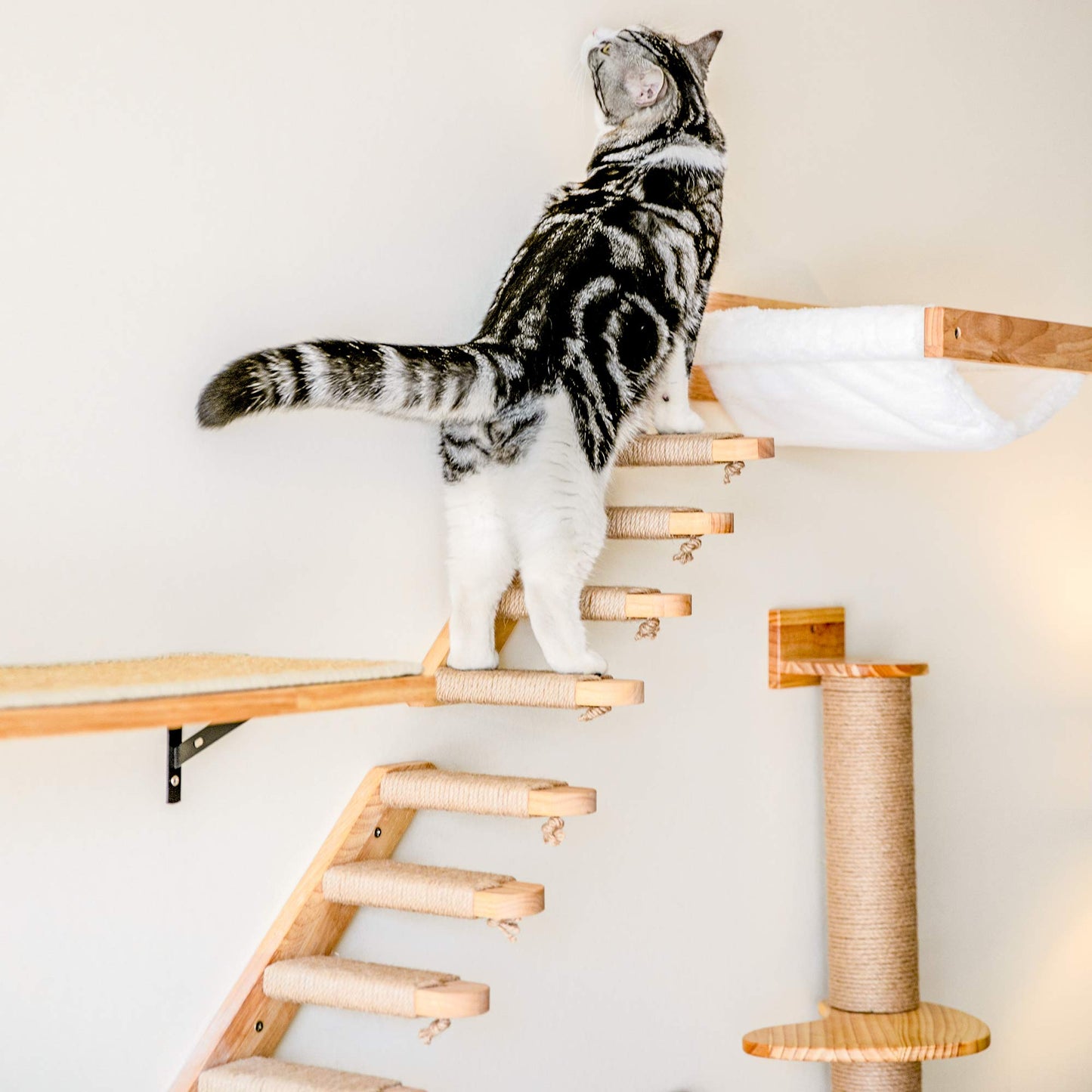 FUKUMARU Cat Climbing Shelf Wall Mounted, Four Step Cat Stairway with Jute Scratching for Cats Perch Platform Supplies, 40 x 22 cm, Left to Right