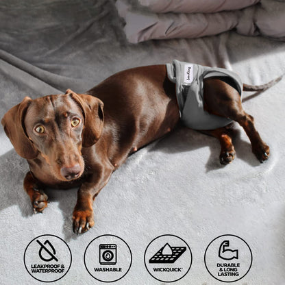 LeerKing Dog Nappies Female 2 Pack, Super Absorbent Dog Period Pants Washable Dog Knickers for Season Sanitary Panties Reusbale Puppy Incontinence,Black Grey M