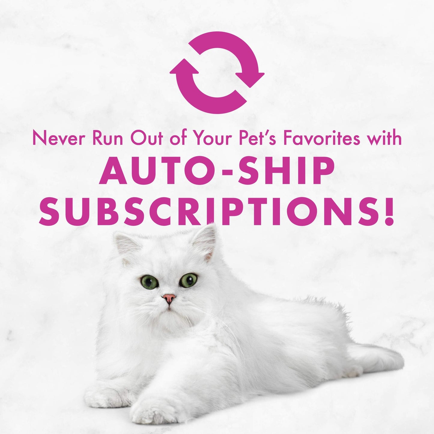 Fancy Feast Chicken Feast Classic Pate Collection Grain Free Wet Cat Food Multi-Pack - (Pack of 24) 3 oz. Pull-Top Cans