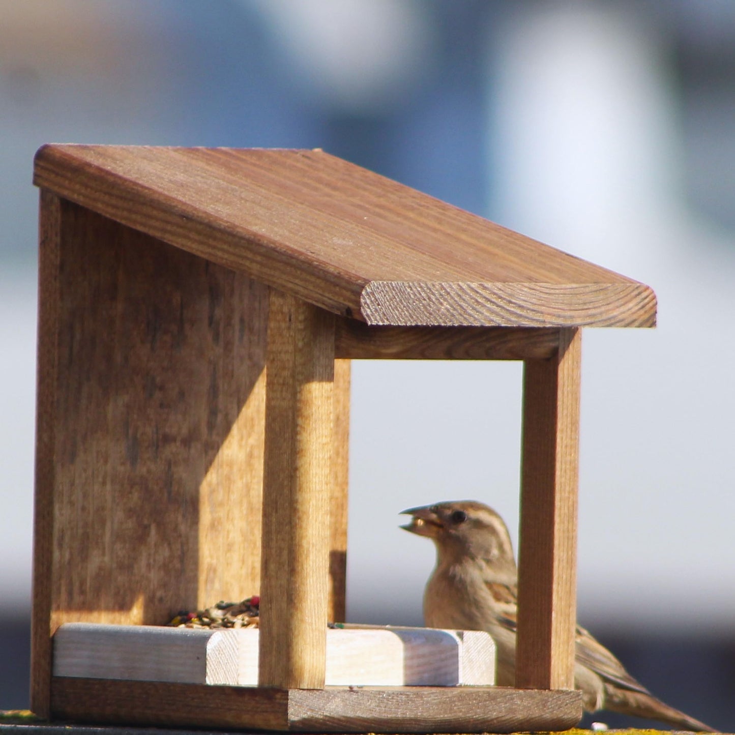 Bird feeder