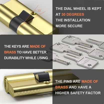 Bwintech Keyed Alike 30/30 mm Euro Brass Cylinder, 60 mm Key/Key Cylinder Lock with 10 Horizontal Brass Keys, Anti Picking, Anti Drill, Anti Bumping, Polished Brass Finish