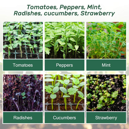 Bonviee 5-Pack Seed Starter Trays, Seed Starter Kit with Adjustable Humidity Dome and Base Indoor Greenhouse Mini Propagator for Seeds Growing Starting (12 Cells Per Tray, Green)