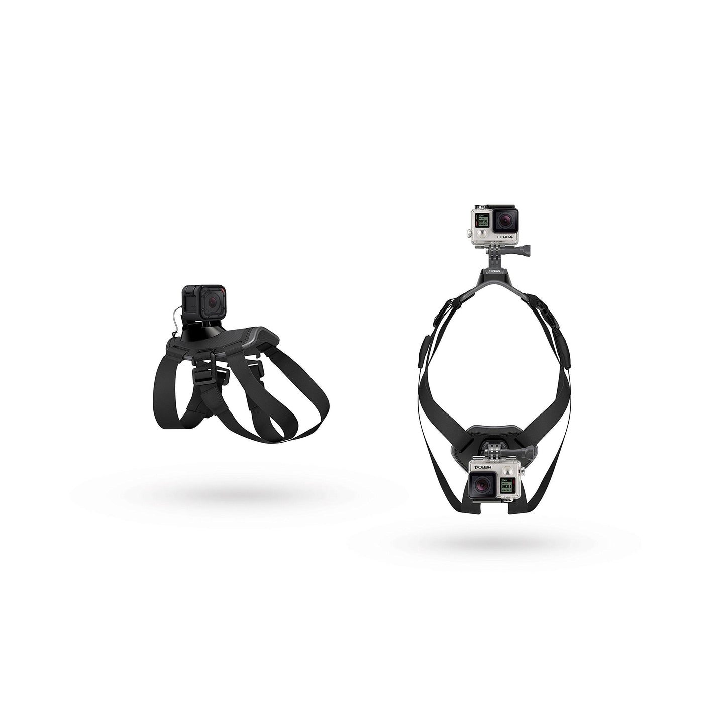 GoPro Fetch Dog Harness - Official GoPro Mount