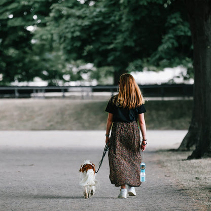 Cibaabo Dog Water Bottle with Food Container & Poop Bag Holder, Travel Water Bowl, Portable Pet Dispenser, Dog Stuff Accessories Items, Puppy Essentials Necessities for Yorkie Chihuahua Walking Hiking
