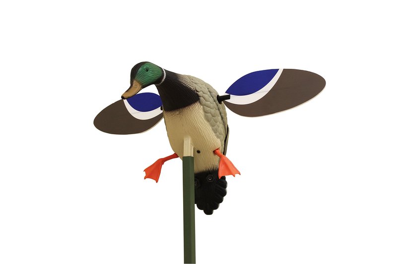 MOJO Outdoors Baby Mallard Drake Spinning Wing Decoy - Premium Waterfowl and Duck Hunting Decoy