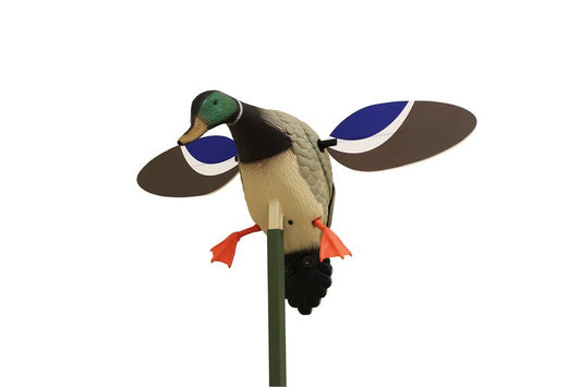 MOJO Outdoors Baby Mallard Drake Spinning Wing Decoy - Premium Waterfowl and Duck Hunting Decoy